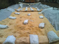 Sw1409 46 1 Sw1409 46 1