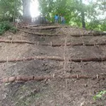 Ec1501 Streambank 10 150x150 Ec1501 Streambank 10 150x150