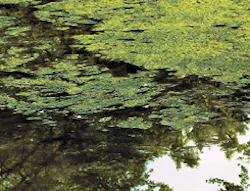 I Stock 000009842931 Large I Stock 000009842931 Large