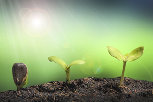 I Stock 000058144478 Sm