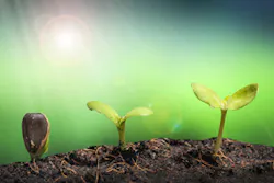 I Stock 000058144478 Sm I Stock 000058144478 Sm