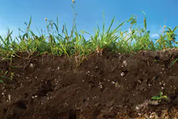 I Stock 17392149 Stramyk Sm I Stock 17392149 Stramyk Sm