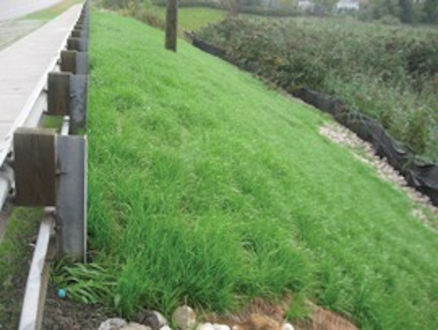 Erosion Control Methods for Steep Slopes | Stormwater Online