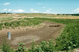 Scs In Drainage Channel 300x200