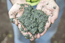 Ec1509 13 1 Ec1509 13 1