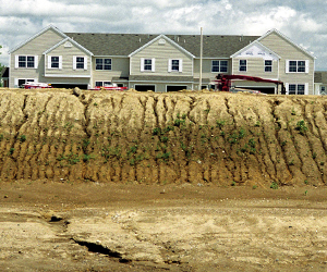 Rusle2 300x250nowords