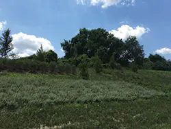 Ec1611 18 300x225 Ec1611 18 300x225