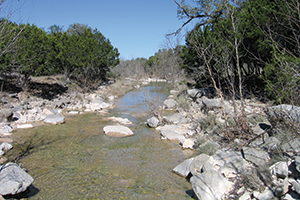undisturbed stream buffer