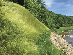 Ec1709 38 2 Ec1709 38 2