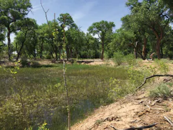 Ec1709 44 1 Ec1709 44 1