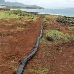 Dura Wattle 1 150x150 Dura Wattle 1 150x150