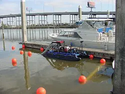 Piranha 300x225 Piranha 300x225