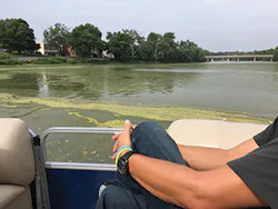 Algae bloom on Maumee River Algae bloom on Maumee River