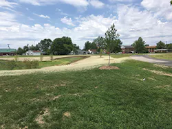 Diehl Park with bioretention swale and newly planted trees Diehl Park with bioretention swale and newly planted trees