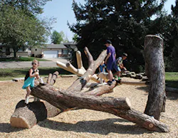 Sw1811 48 1 Sw1811 48 1