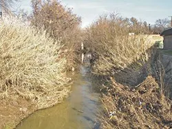 Ec1905 18 2 300x225 Ec1905 18 2 300x225