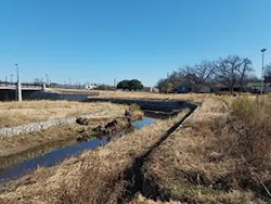 Ec1905 18 3 300x225 Ec1905 18 3 300x225