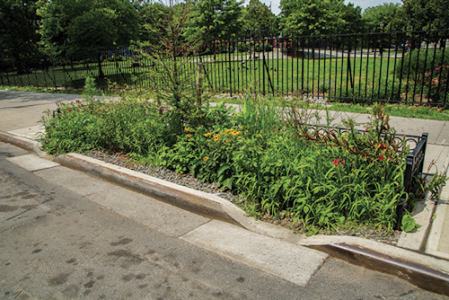 DEP has installed more than 4,000 green infrastructure assets around the city, including 1,327 in the Newtown Creek watershed.