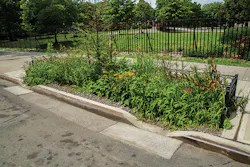 DEP has installed more than 4,000 green infrastructure assets around the city, including 1,327 in the Newtown Creek watershed. DEP has installed more than 4,000 green infrastructure assets around the city, including 1,327 in the Newtown Creek watershed.