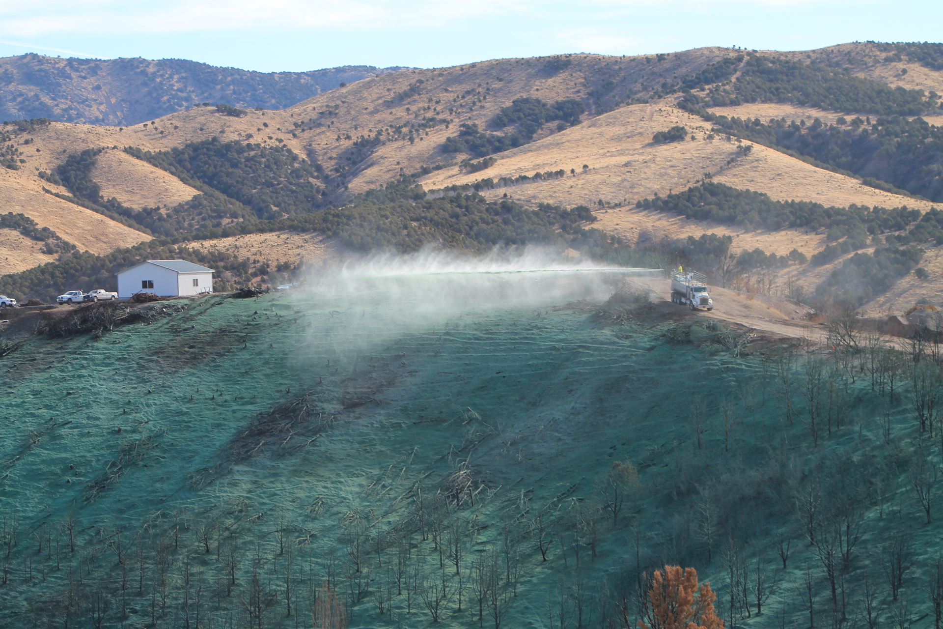 Img 1160 5e47100b5e1e7