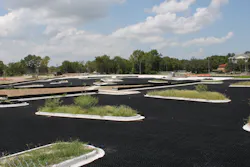 Sw2004 Pp Texas 01 5e792f8981e84 Sw2004 Pp Texas 01 5e792f8981e84