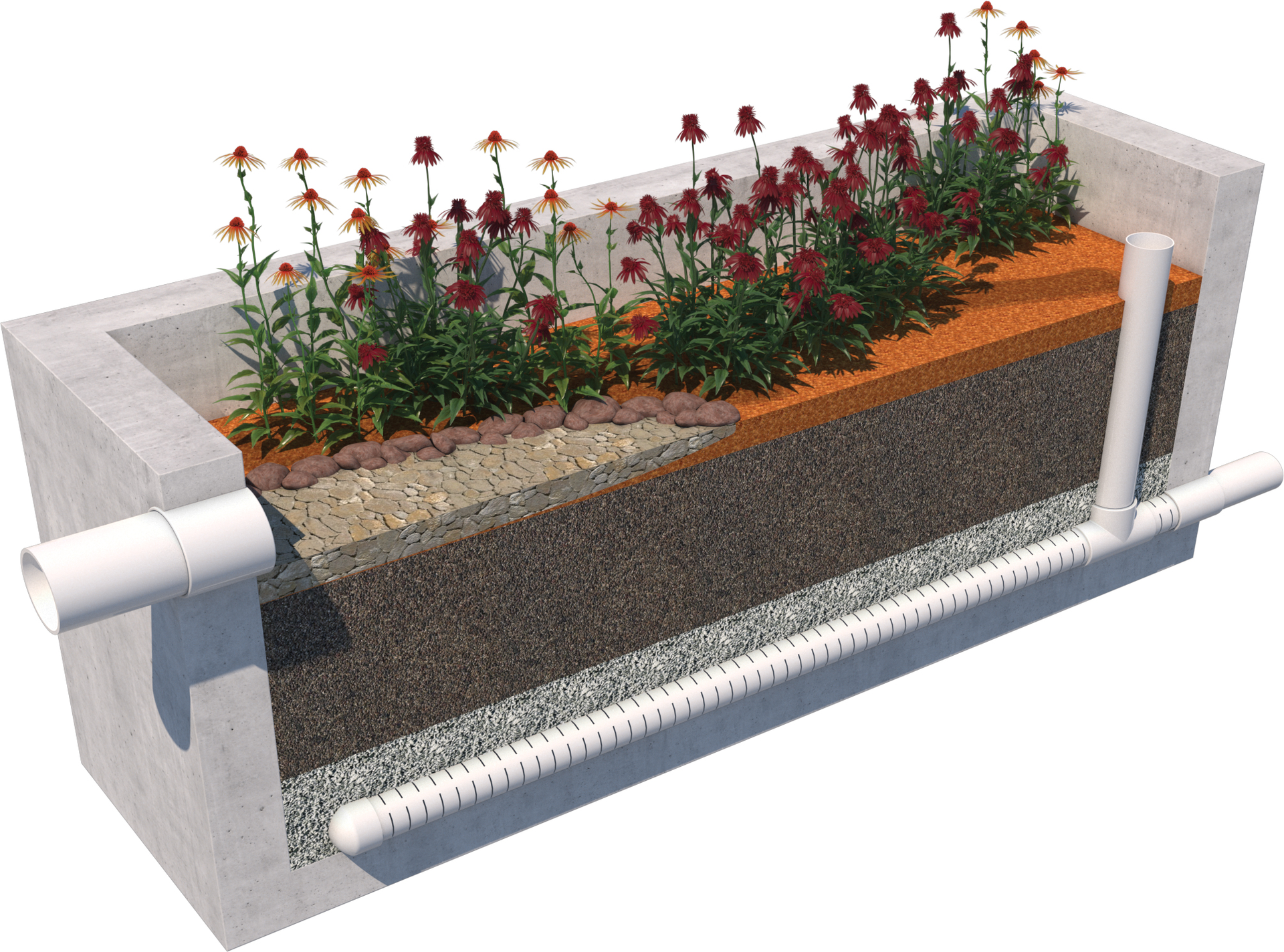 Storm Vault Biofiltration Planter Box 5ef659f4dd618