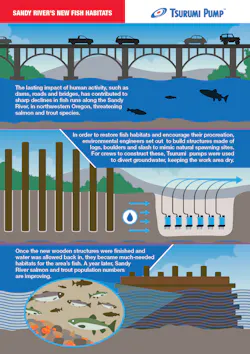 Sandy River Project Infographic Sandy River Project Infographic