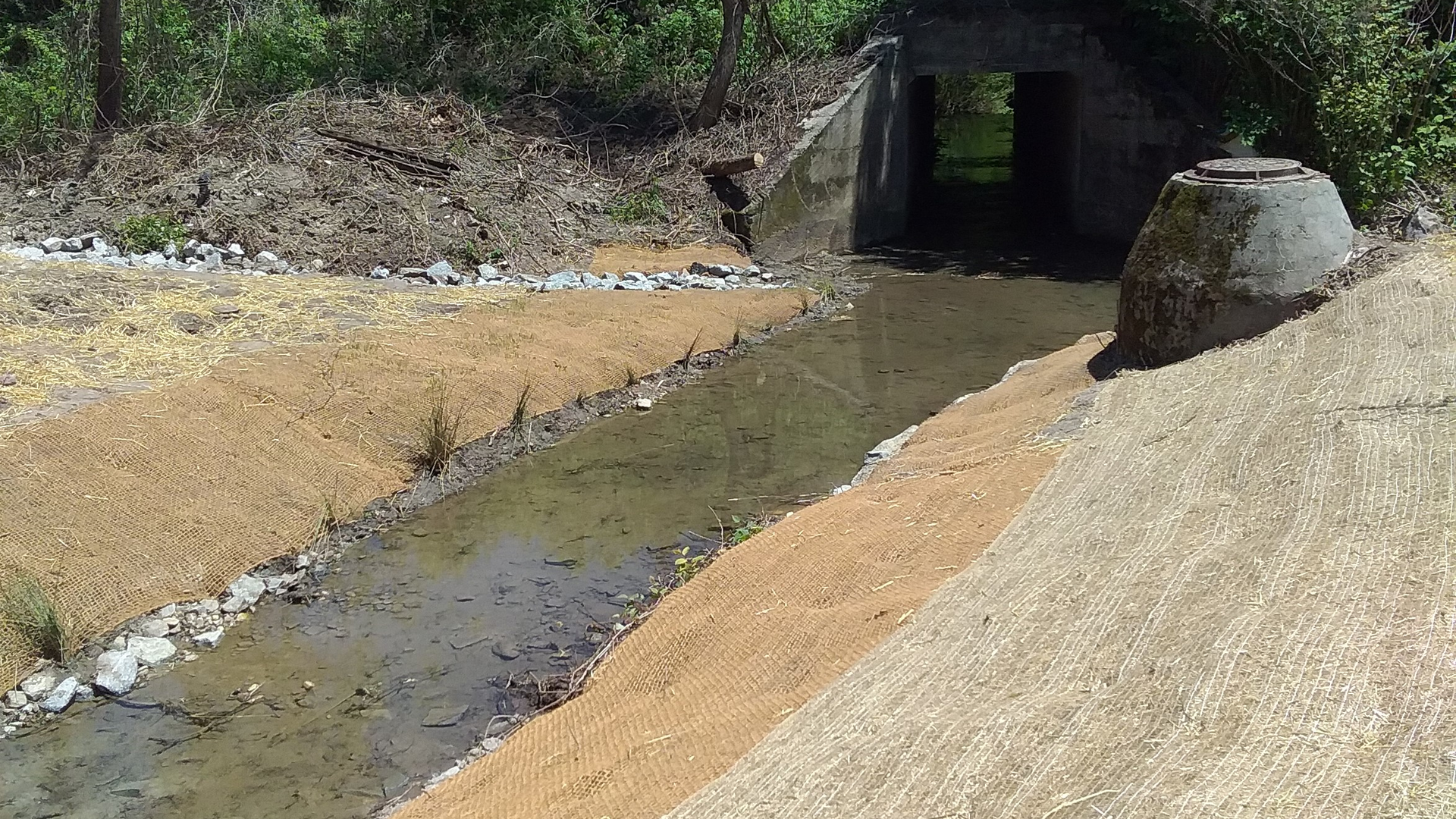 A sloped streambank gives way to a broad floodplain reducing erosion and flood risk to existing sewer infrastructure.