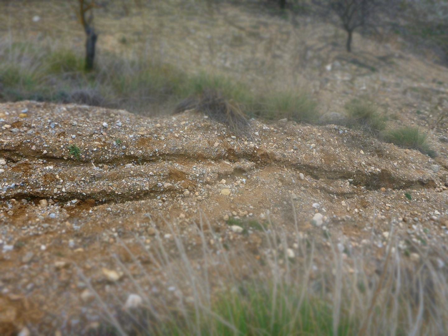 Rill erosion occurring on farmland in Rest&aacute;bal, southern Spain.