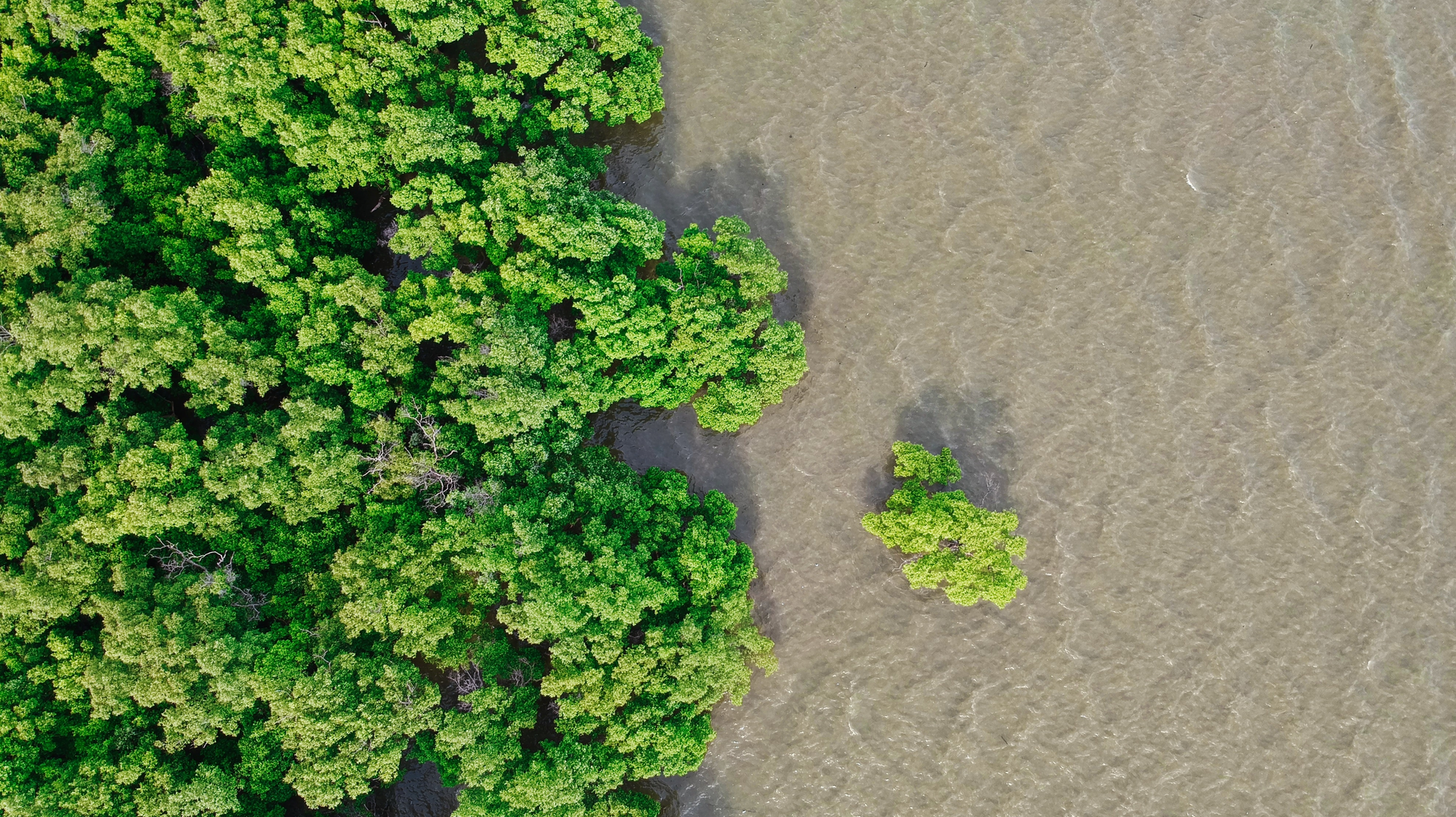 Waranont Joe X Iw Yx U9y Nu Unsplash 5fad7d0f71b28