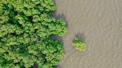 Waranont Joe X Iw Yx U9y Nu Unsplash 5fad7d0f71b28 Waranont Joe X Iw Yx U9y Nu Unsplash 5fad7d0f71b28