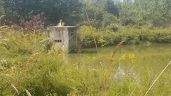 Inspection training at a Maryland DOT wet extended detention pond in Montgomery County, Maryland. Inspection training at a Maryland DOT wet extended detention pond in Montgomery County, Maryland.