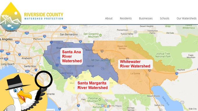 Mascot Sunny the Seagull in action.