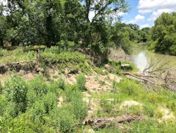 Bank failure looking upstream. Bank failure looking upstream.