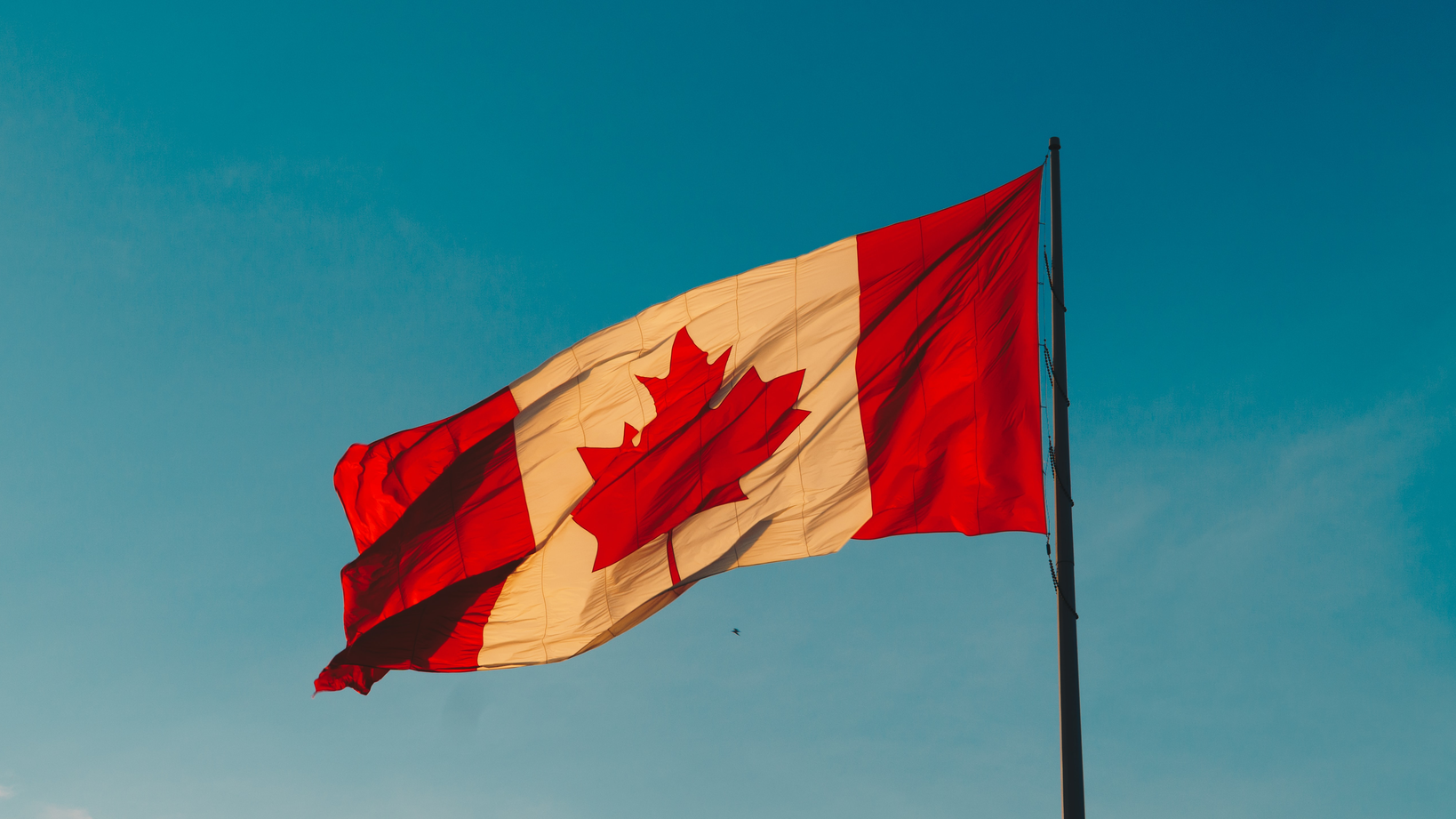 Hermes Rivera Ah Hn48 Z K Wo Unsplash 60d4a76ae298d