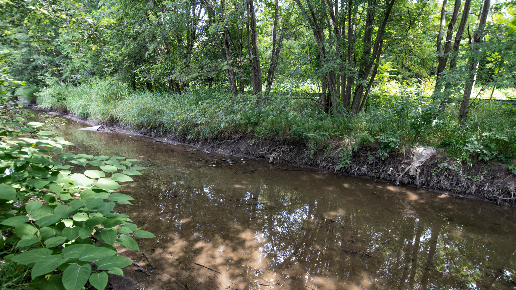 The banks of Midlothian Creek are eroded and overcome by invasive plants and runoff, causing flooding and pollution reaching the Cal-Sag Channel and even Lake Michigan during heavy rains. A grant from the Illinois Environmental Protection Agency and matching funds from the MWRD will improve conditions.
