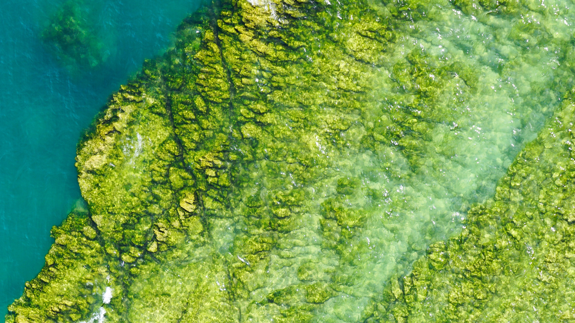 Selina Bubendorfer G Yidxnyys H0 Unsplash 1 610048f1ea4a0