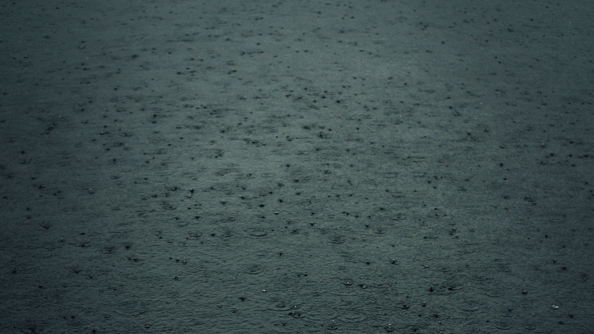 Tim Foster Et4q6 N3 J Am8 Unsplash 619bed69798b1