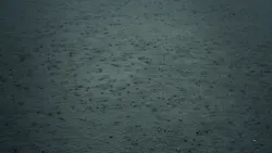 Tim Foster Et4q6 N3 J Am8 Unsplash 619bed69798b1 Tim Foster Et4q6 N3 J Am8 Unsplash 619bed69798b1