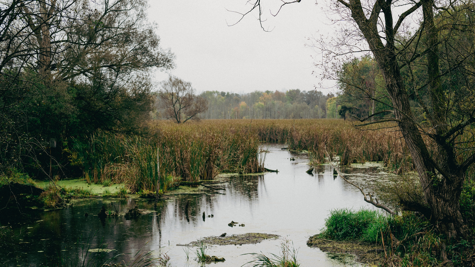 Luke Hodde I6yl Sf1 Ohg Y Unsplash 61cb2d89bd586