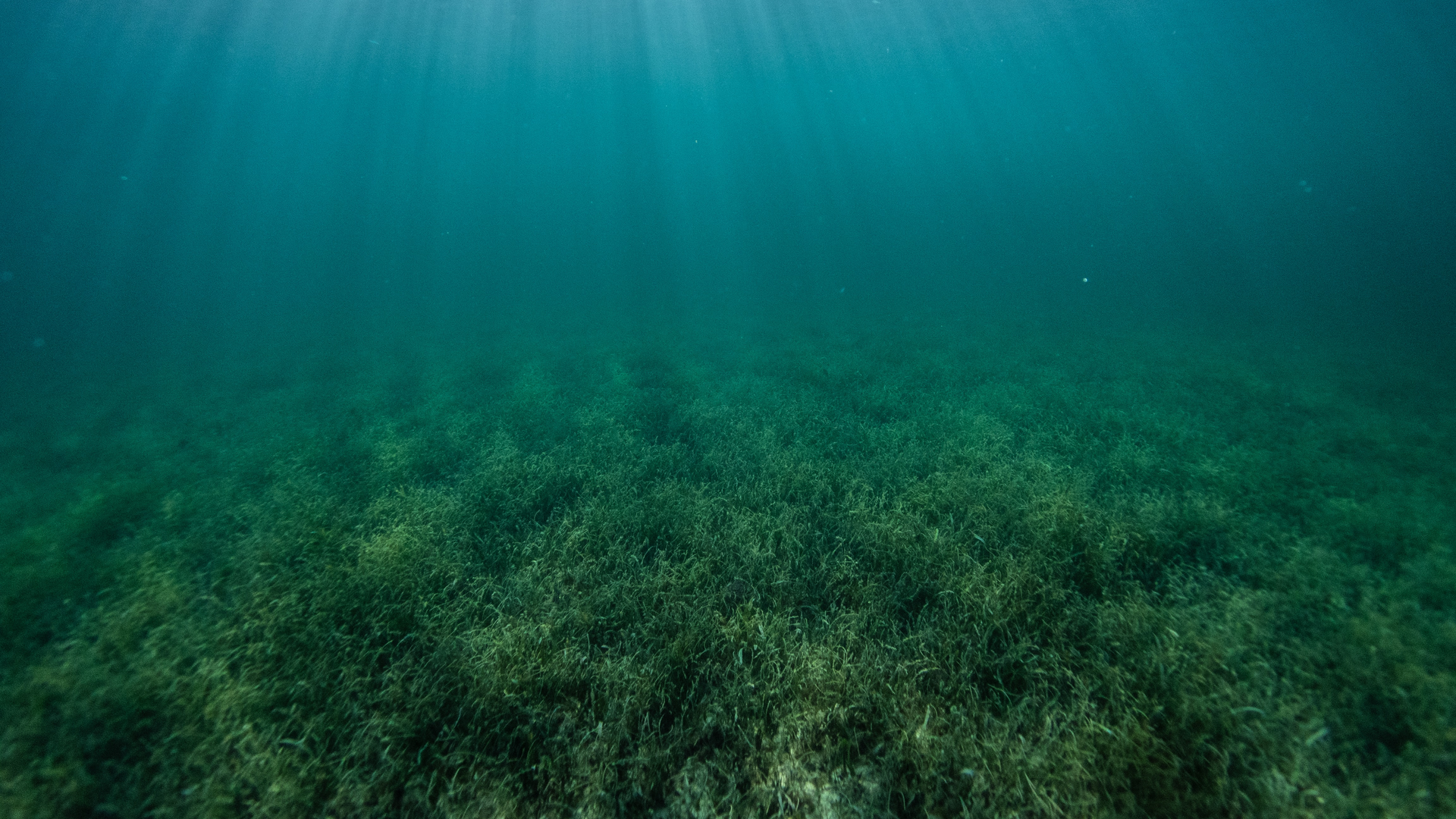 Benjamin L Jones V77 Svymw Wtg Unsplash 626aafd23c24c