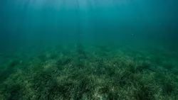 Benjamin L Jones V77 Svymw Wtg Unsplash 626aafd23c24c Benjamin L Jones V77 Svymw Wtg Unsplash 626aafd23c24c