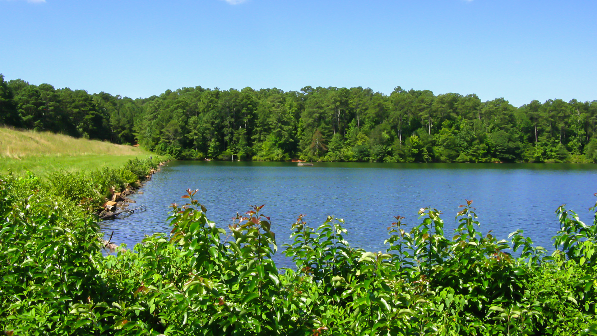 43083885 Rgodard Dreamstime com 627011bd641d0