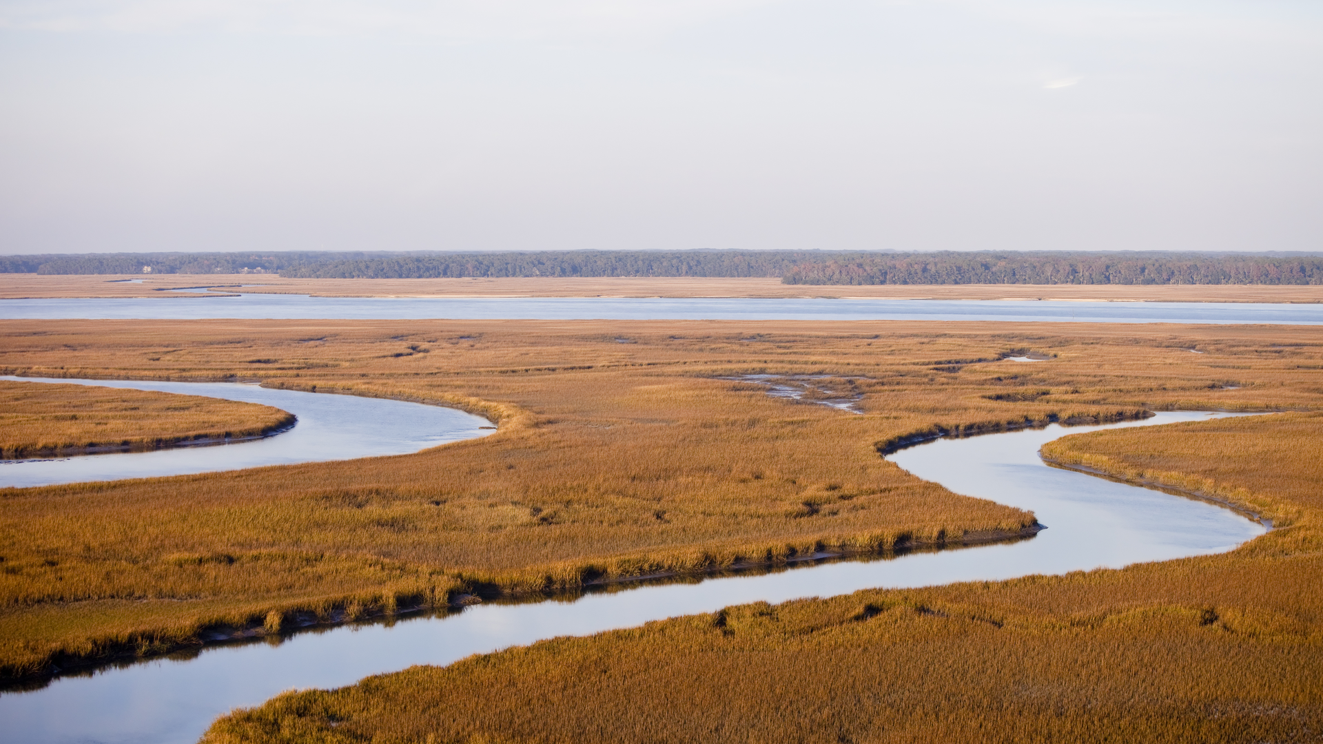 Dreamstime Xxl 12326811