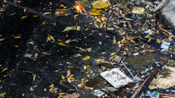 Dreamstime Xxl 55110117 62cd8ffce8ba5 Dreamstime Xxl 55110117 62cd8ffce8ba5