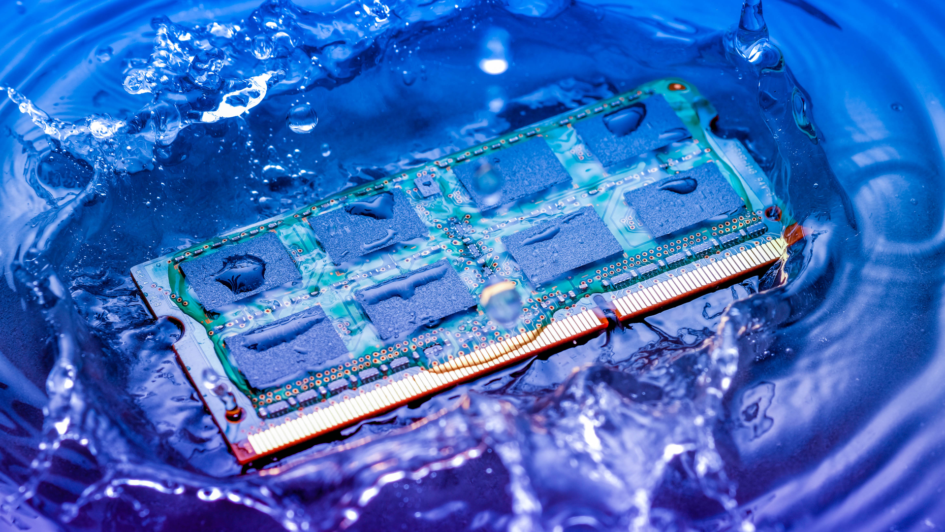 Dreamstime Xxl 110299279 62fbb55d9f62f