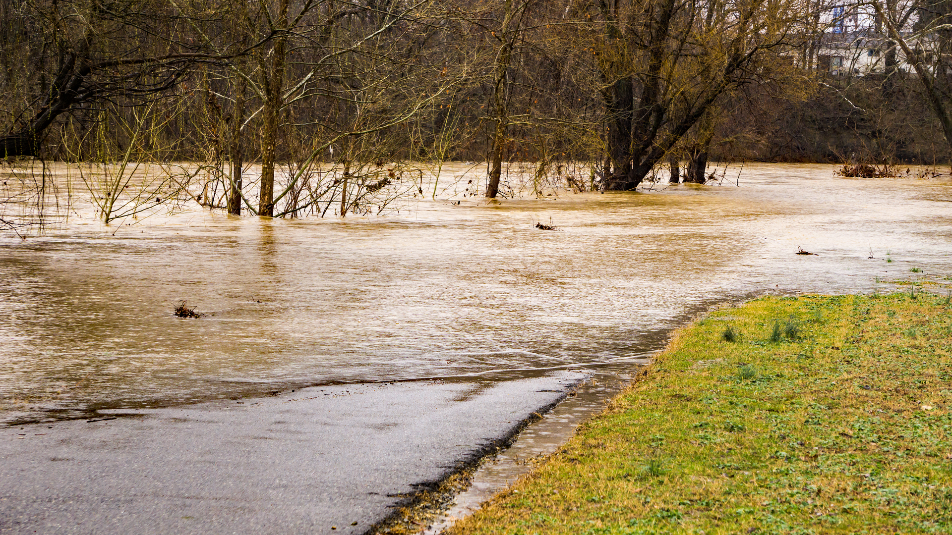 Dreamstime Xxl 140320241 633c47821576b