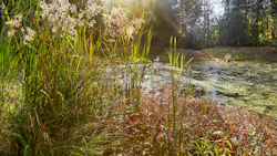 Dreamstime Xl 184906435 6398d329d94ce 63caedf98b191 Dreamstime Xl 184906435 6398d329d94ce 63caedf98b191