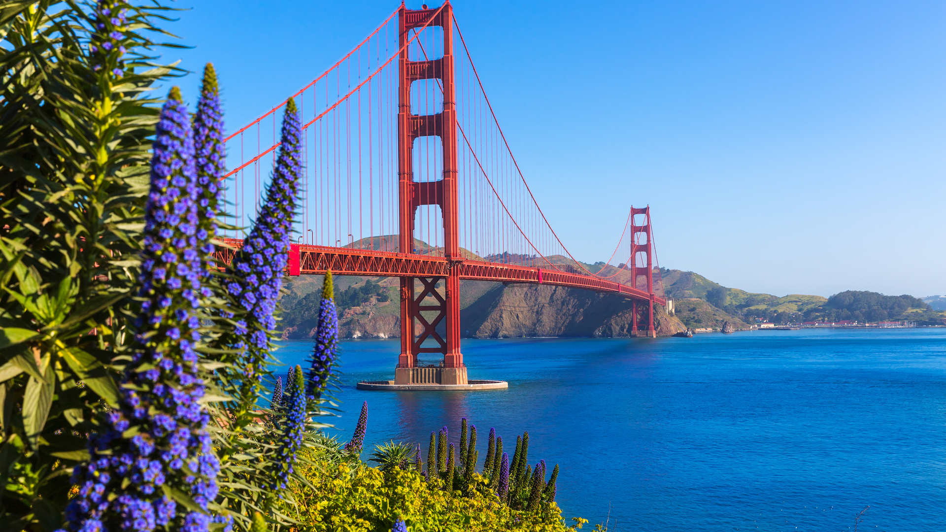 Dreamstime Xxl 36805947 63c978044ae39