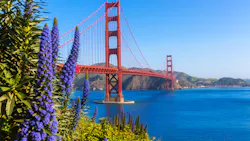 Dreamstime Xxl 36805947 63c978044ae39 Dreamstime Xxl 36805947 63c978044ae39